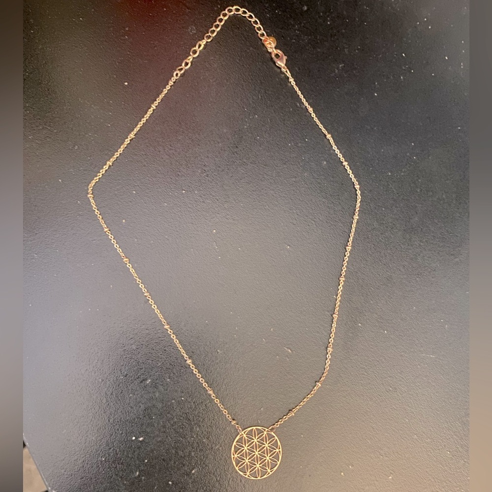 LC Lauren Conrad Rose Gold Necklace